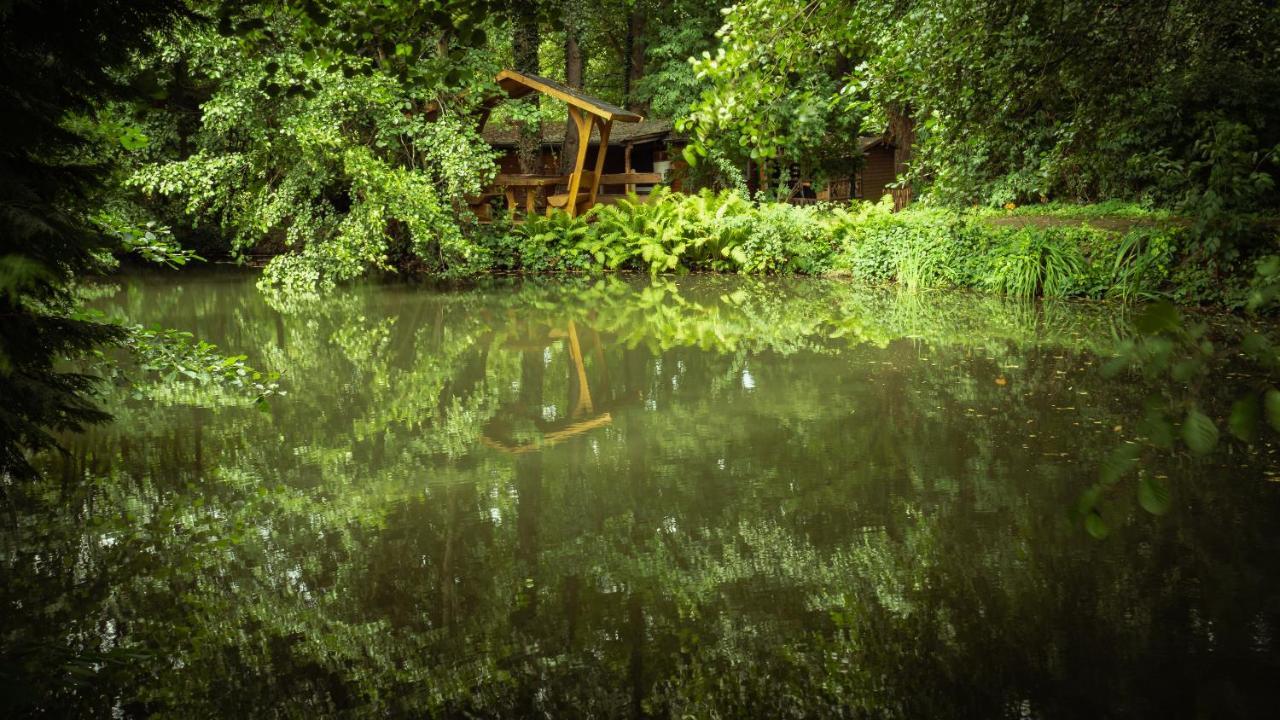 Hasenstall Rehburg-Loccum Exteriér fotografie