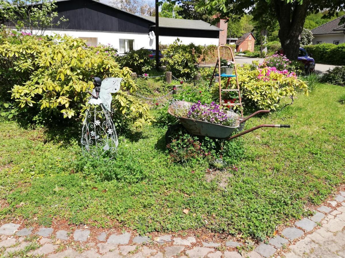 Hasenstall Rehburg-Loccum Exteriér fotografie